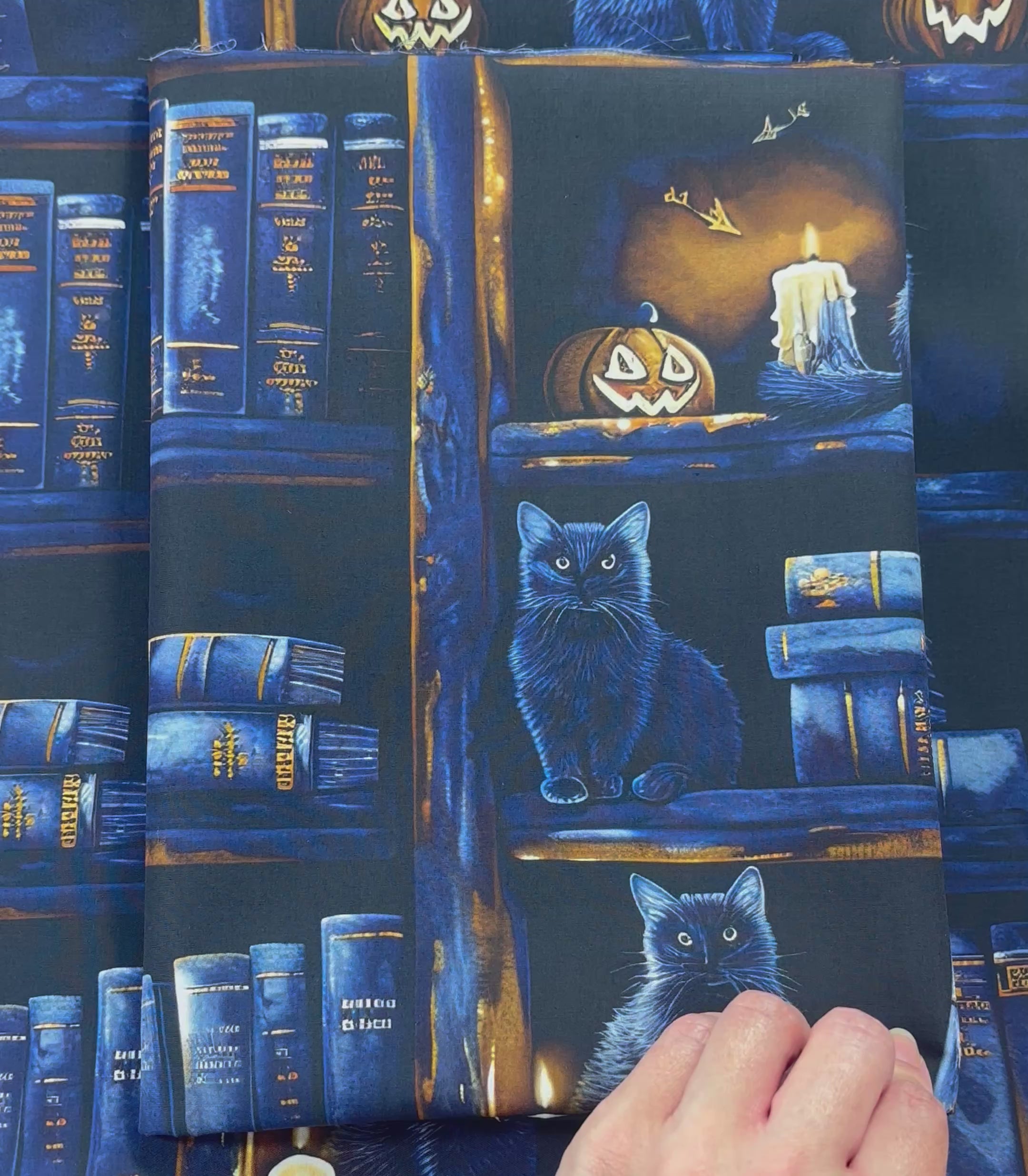 Midnight Gothic Cat Bookshelf Cotton Fabric